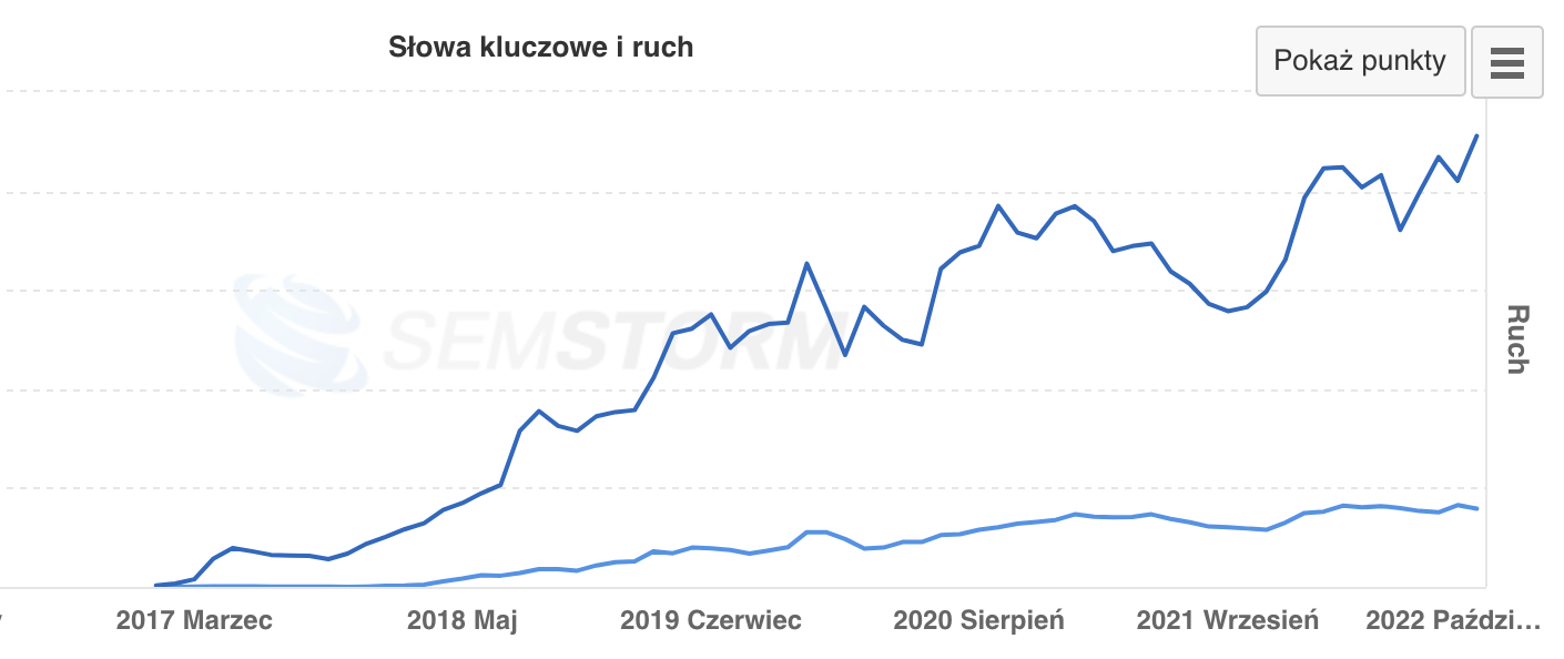 Wzrost widoczności sklepu